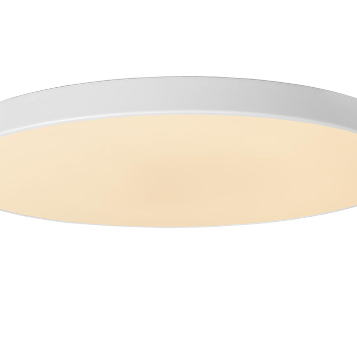 49dc06a2-e805-4c03-90db-205a69a5c91d-vrijstaandbeeld.jpg (8077833) 