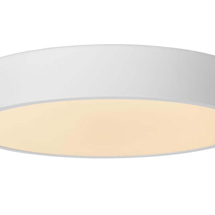 d24ae448-ba3e-4cc4-88cb-bd6ac47fd67a-vrijstaandbeeld.jpg (8077839) 