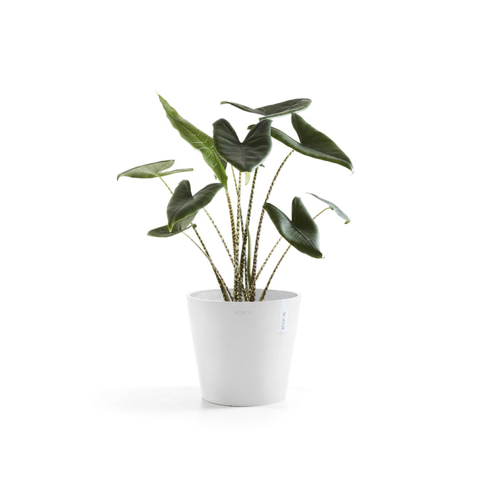 Ecopots Amsterdam 40 Pure White