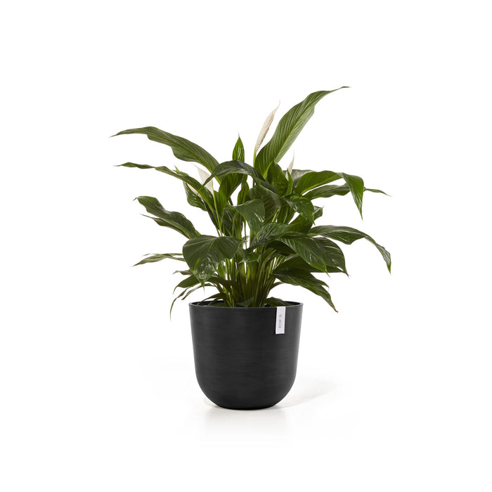 Ecopots Oslo 45 + Water Reservoir Dark Grey