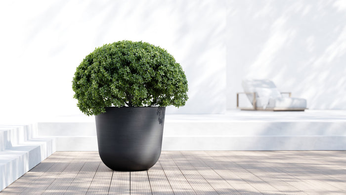 Ecopots Oslo 65 Dark Grey