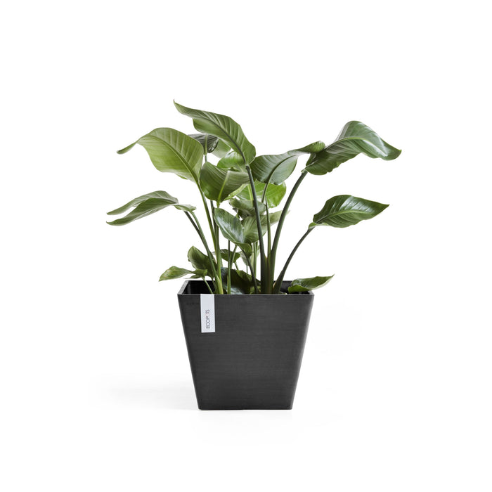 Ecopots Rotterdam 40  Dark Grey