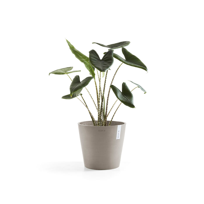 Ecopots Amsterdam 40 Taupe