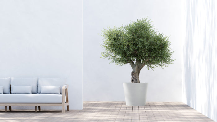 Ecopots Amsterdam 70 Pure White