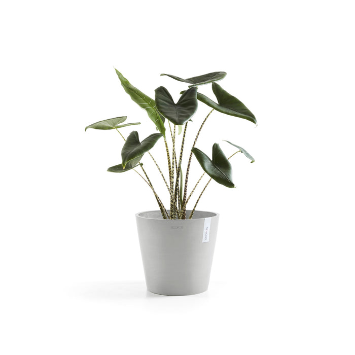 Ecopots Amsterdam 40 White Grey