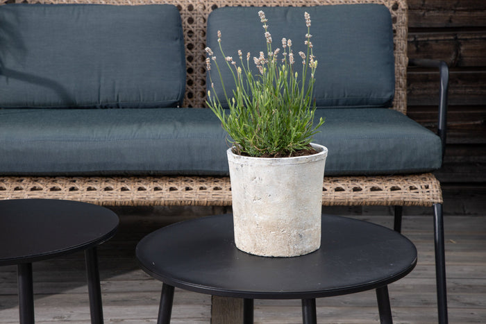 Rebellenclub Clove Loungeset - Naturel Rattan
