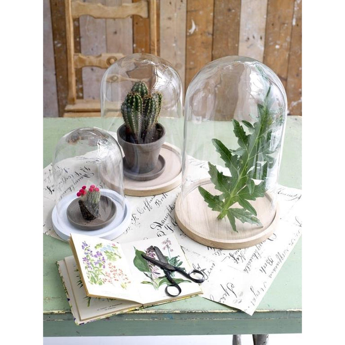 ece7954f-9f52-4a09-84f7-e6e3c42e286d-afbeelding3.jpg (8122621) 