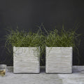 Capi Europe Nature Rib Vierkant Bloempot 40 x 40 cm