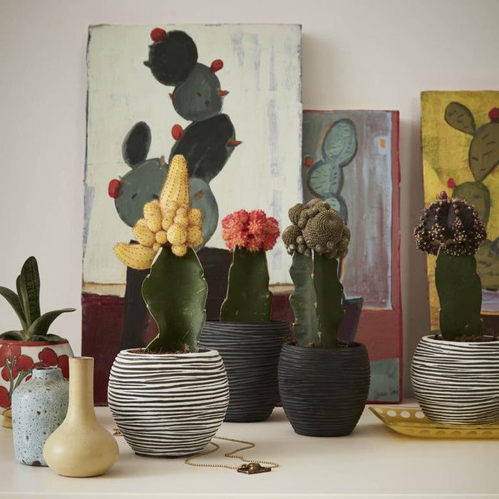 dd715417-7ed0-443e-a8f2-fa267b08521c-sfeerbeeld.jpg (8123026) 