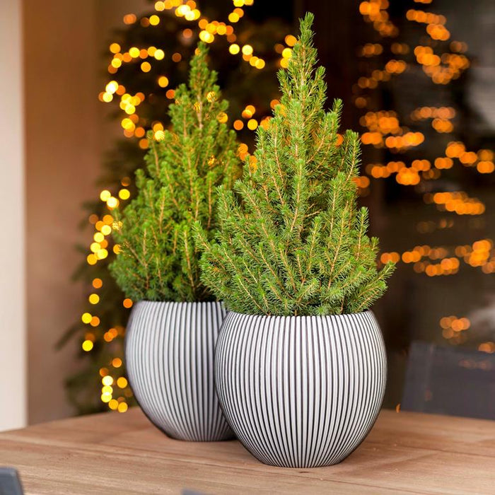 18f77ad9-0071-4ead-a8a9-995436ae622b-sfeerbeeld.jpg (8123035) 