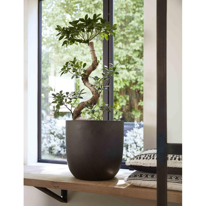 Capi Europe Urban Smooth Egg Planter Bloempot 35 cm