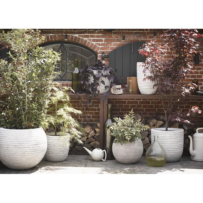 Capi Europe Nature Row Egg Planter Bloempot 43 cm
