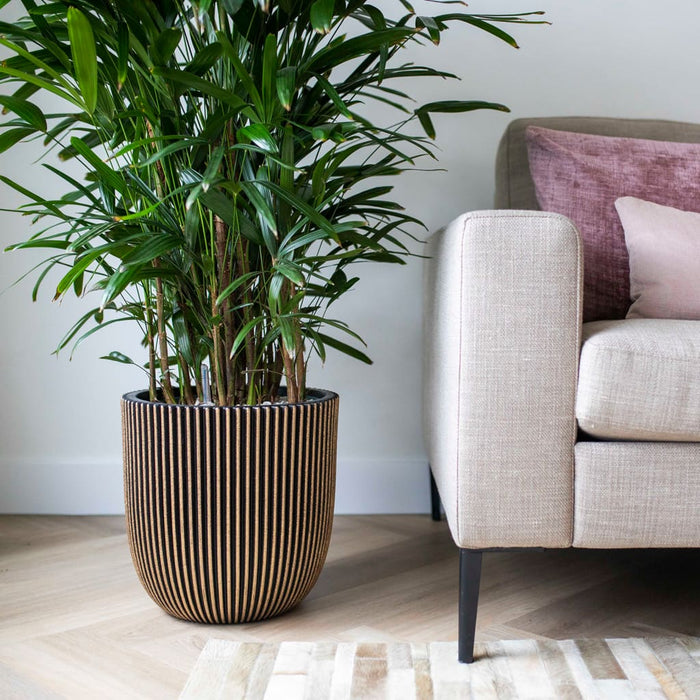 526788e6-9cf4-489a-93c5-e8cc1cdd6ada-sfeerbeeld.jpg (8137157) 