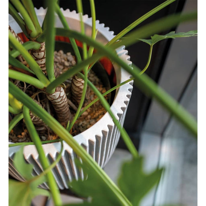 33683713-8dd3-4efe-9f4b-5400f54109e8-afbeelding3.jpg (8137174) 