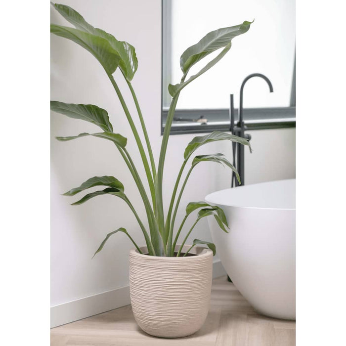 99102f63-827d-4ac0-8267-f0cfe77f7c03-afbeelding3.jpg (8137179) 