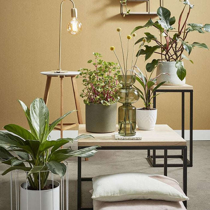 42a6765c-d43c-4df4-983c-d78cc668a761-sfeerbeeld.jpg (8188140) 