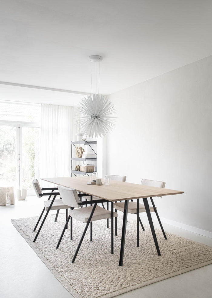 f3e91b7d-21b7-4ec1-9b77-8ae257b68d5c-afbeelding8.jpg (8215963) 