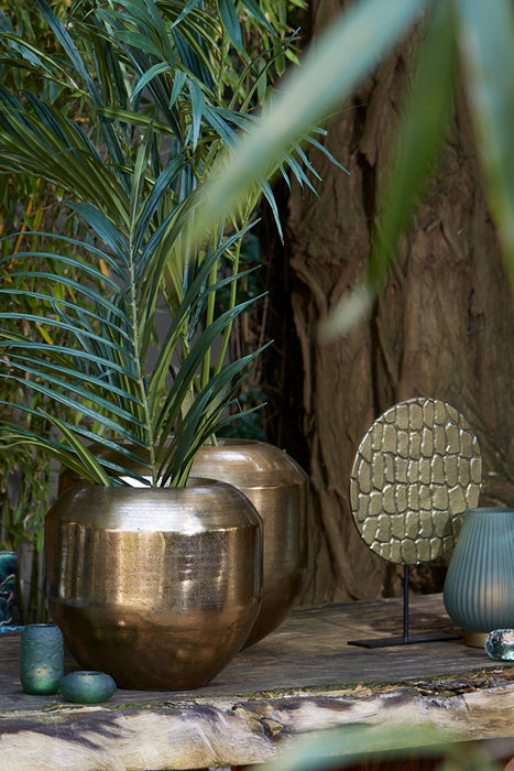 e14fb362-50a8-492e-9a89-18eef8e5b13a-afbeelding5.jpg (8221691) 