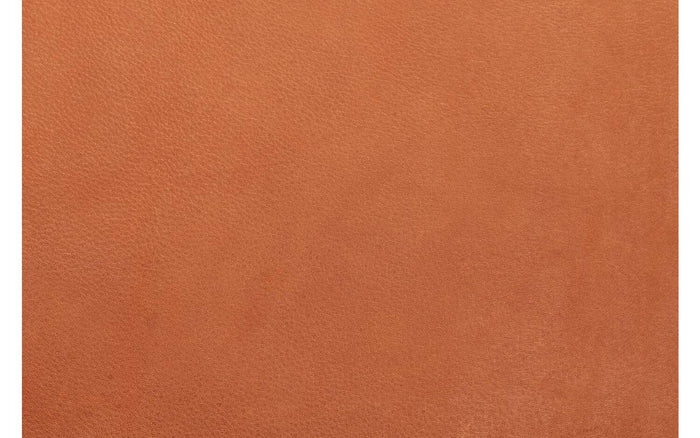 Goossens  Eetkamerstoel Leogang -  Leder met armleuning