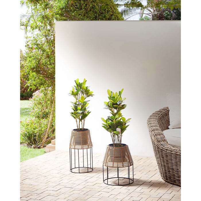 483f672f-eab8-4e93-9464-6fc016f5adac-sfeerbeeld.jpg (8325415) 