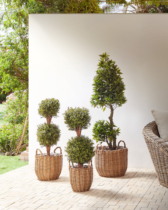 5203c44b-b44b-4f36-ad17-d5fc7e69b501-sfeerbeeld.jpg (8330316) 