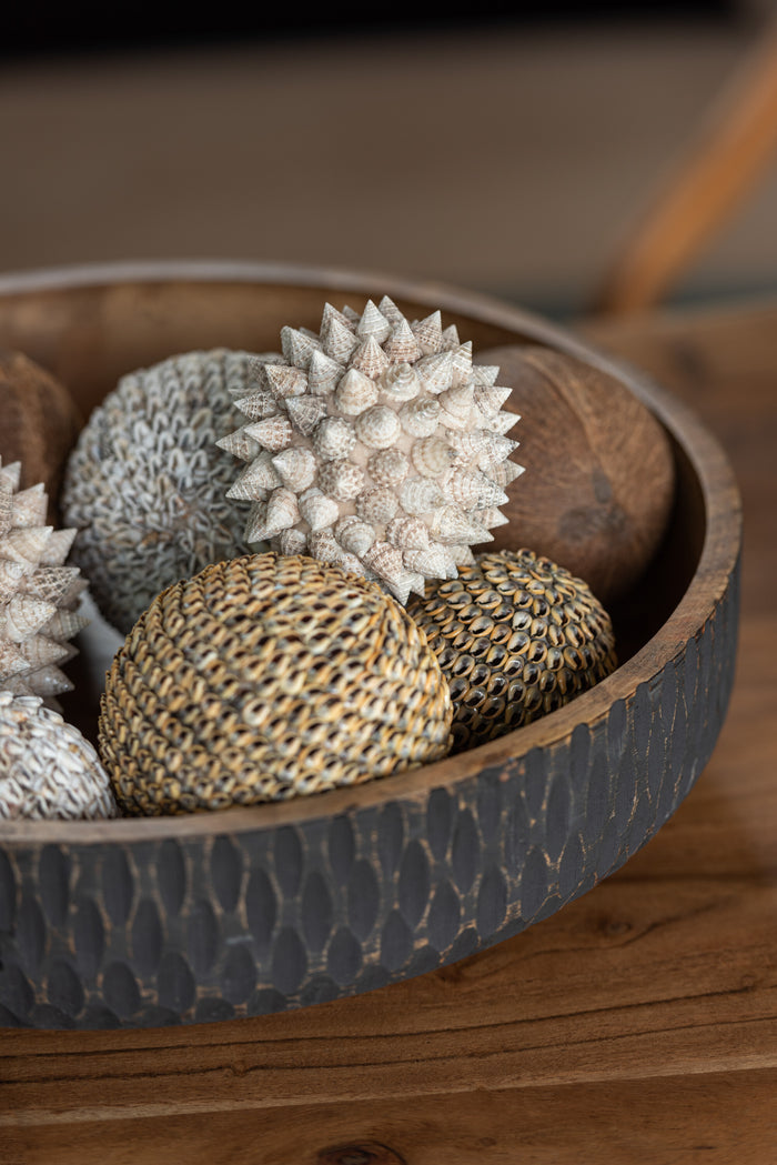 J-Line decoratie Bol Pike - schelpen - wit - small - 2 stuks