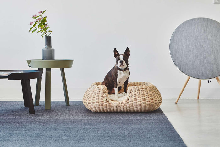 c29909ef-f7d6-4362-94c3-6f32e927f3c7-afbeelding5.jpg (8362664) 