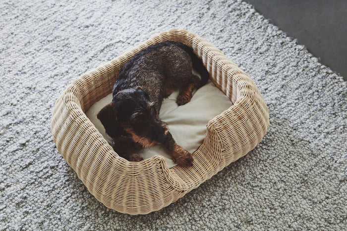 c29909ef-f7d6-4362-94c3-6f32e927f3c7-afbeelding7.jpg (8362682) 