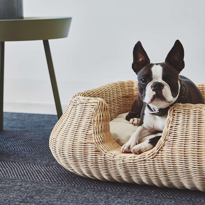 962f9240-60d6-49a3-bf19-d0ecbdfef7de-afbeelding10.jpg (8362739) 