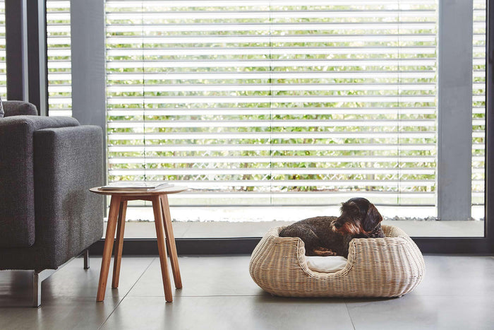 568cde60-72ec-4f79-b8dc-a610b57560ba-afbeelding7.jpg (8362788) 