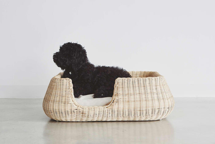 568cde60-72ec-4f79-b8dc-a610b57560ba-afbeelding8.jpg (8363544) 