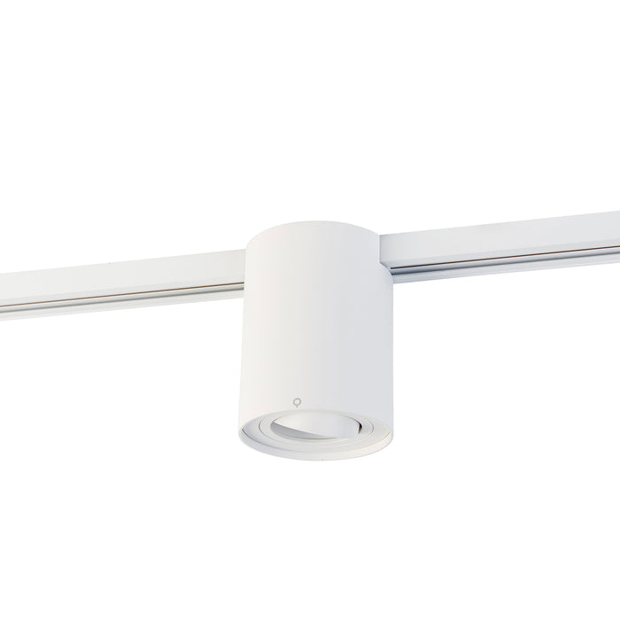 3556aad9-087e-4b85-858f-b199c1b84b1b-afbeelding10.jpg (8392477) 