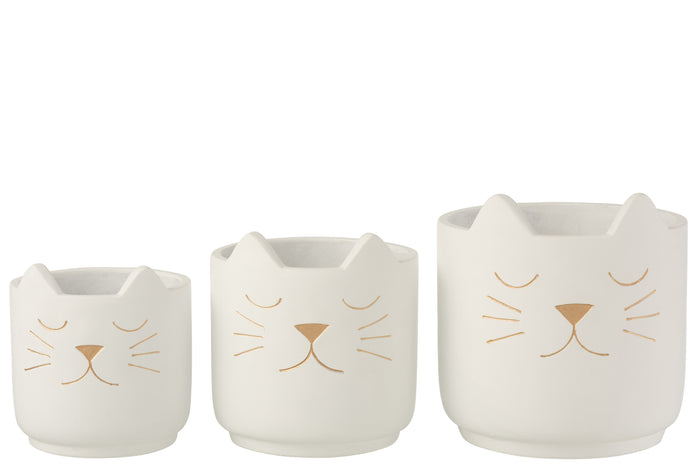 4e643949-aa48-4cf7-b00b-73a2e23fd751-afbeelding3.jpg (8480061) 