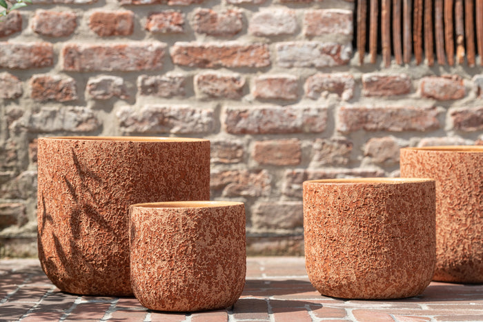 79541711-306d-476c-be5e-066062427321-sfeerbeeld.jpg (8480498) 