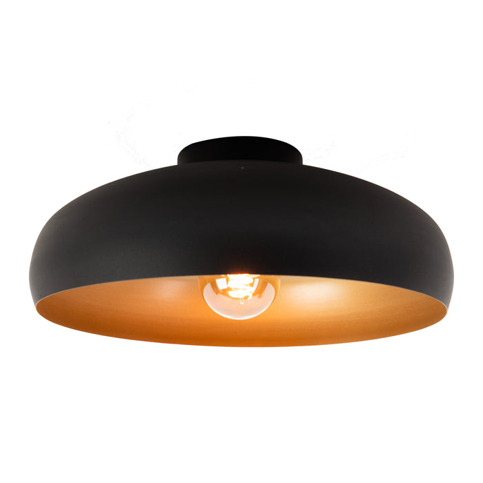 203416-x02-202408240922-C.jpg (8964527) 