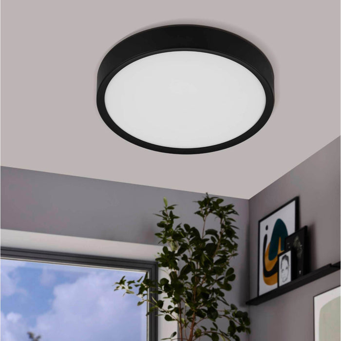 292554-x00.jpg (8965409) 