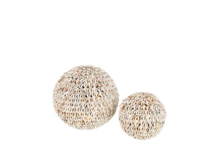 J-Line decoratie Bol Schelpen Noa - steen - naturel - large