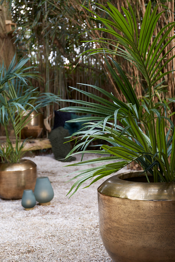 a119c243-3b45-47d0-8e2d-0aebf8d9b06e-afbeelding4.jpg (9075370) 