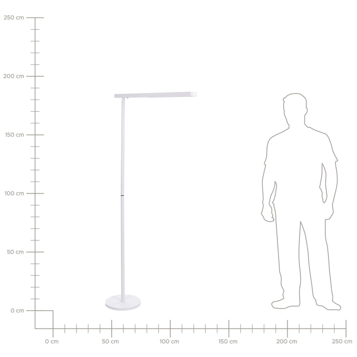 977677b2-a0a4-4f81-badc-37d03fe1defa-afbeelding9.jpg (9085923) 