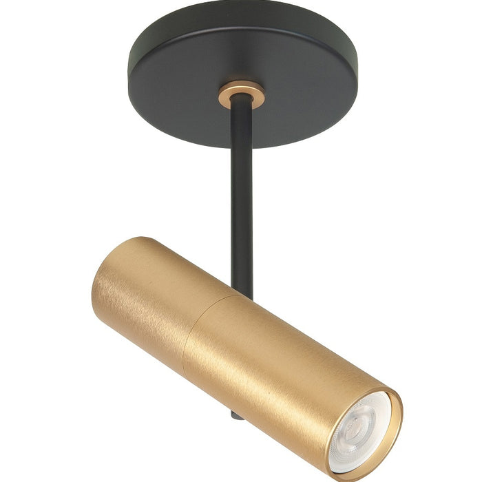 Highlight Spot Trend Zwart Goud Mini GU-10 Ø 35mm 1 Lichts