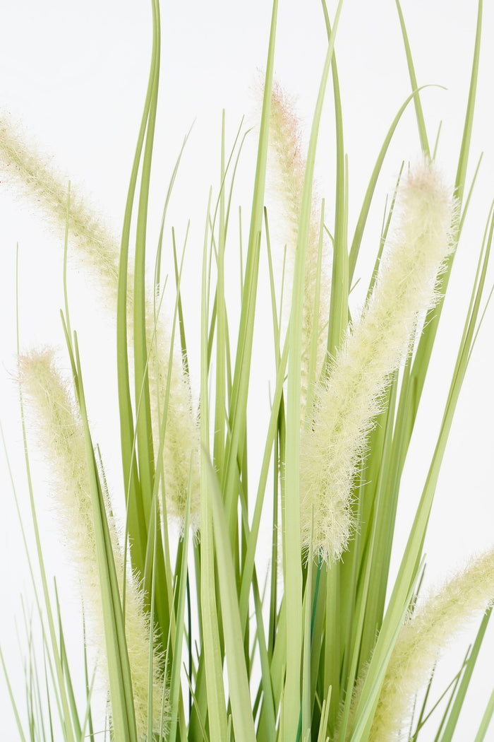 Mica Decorations Dogtail Gras Kunstplant - H53 x Ø30 cm - Groen