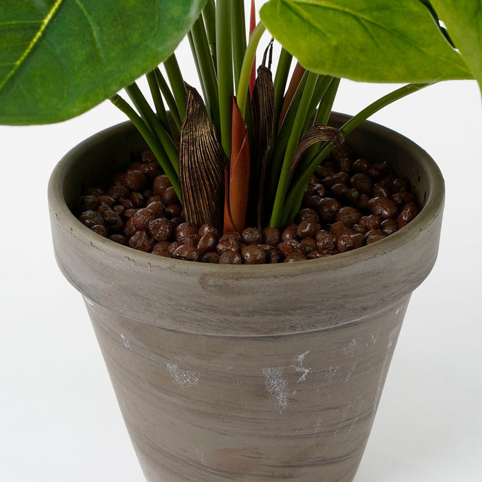 Mica Decorations Anthurium Kunstplant - H40 x Ø30 cm - Rood