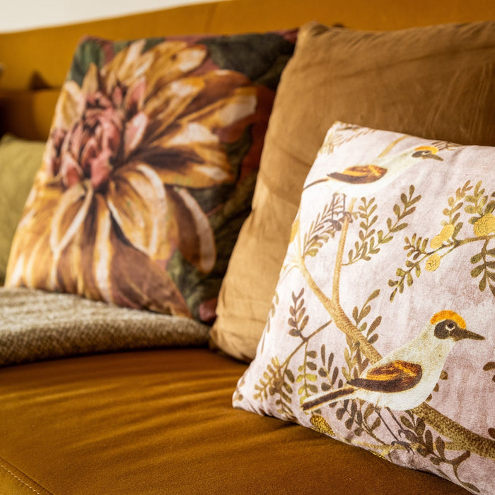 1ae79615-c7a6-4e1a-9c94-ff07cf86f462-afbeelding5.jpg (9109928) 