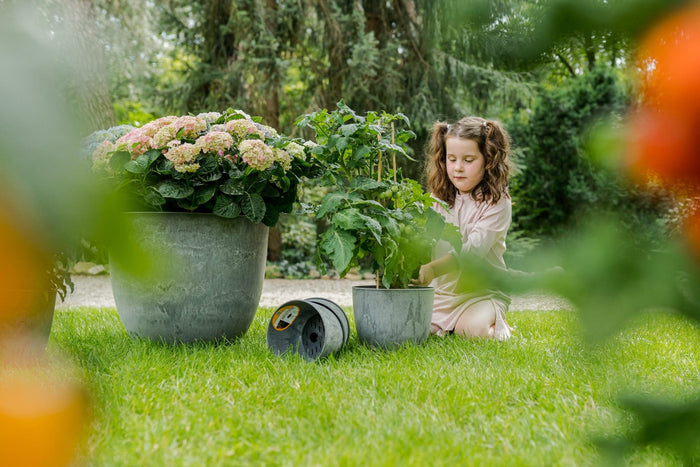 818b45ac-0aee-4f7a-8d67-22569ff1759f-sfeerbeeld.jpg (9156141) 