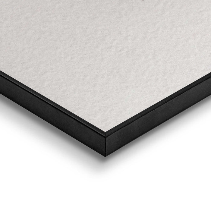 90308_13.jpg (9156462) 