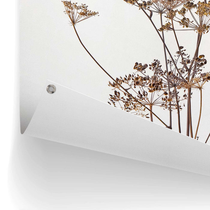 94657_10.jpg (9157157) 