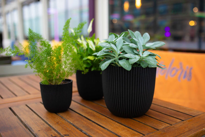 3c75b7ab-c1b7-4433-9bb0-374e20aae8a4-afbeelding3.jpg (9158507) 