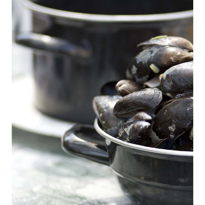 Cosy & Trendy Mosselpan - Zwart - ø 24 cm | 5 liter