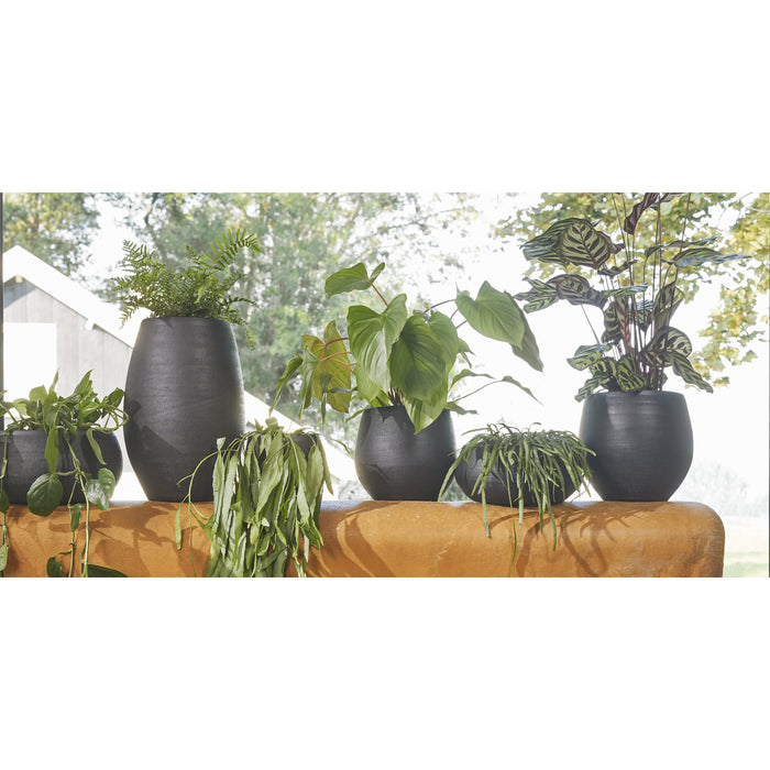 016514c3-062a-4af1-8a4e-9d25d0c59070-sfeerbeeld.jpg (9187351) 