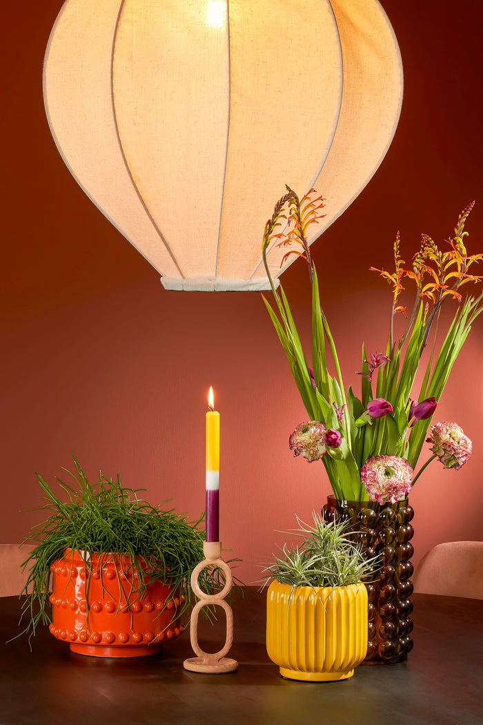 5cc47db0-732c-4236-b177-265bccbc8924-afbeelding7.jpg (9187564) 